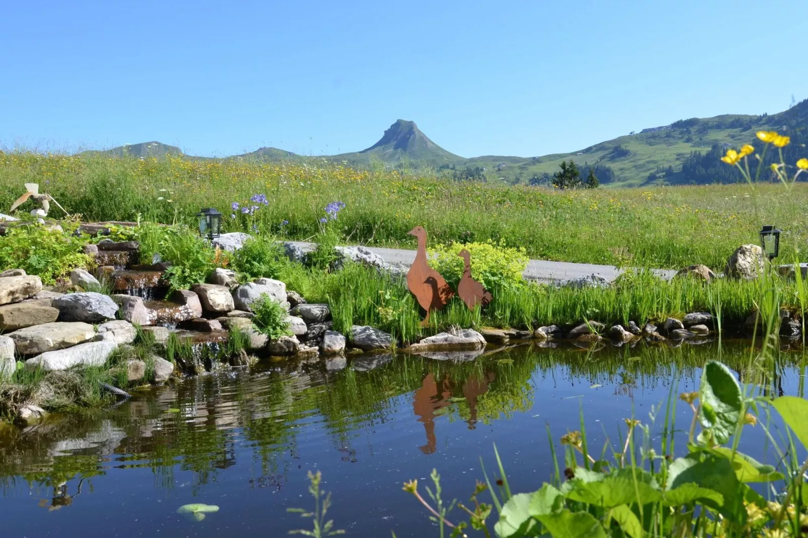 Schönblick 1-Gebieden zomer 5km