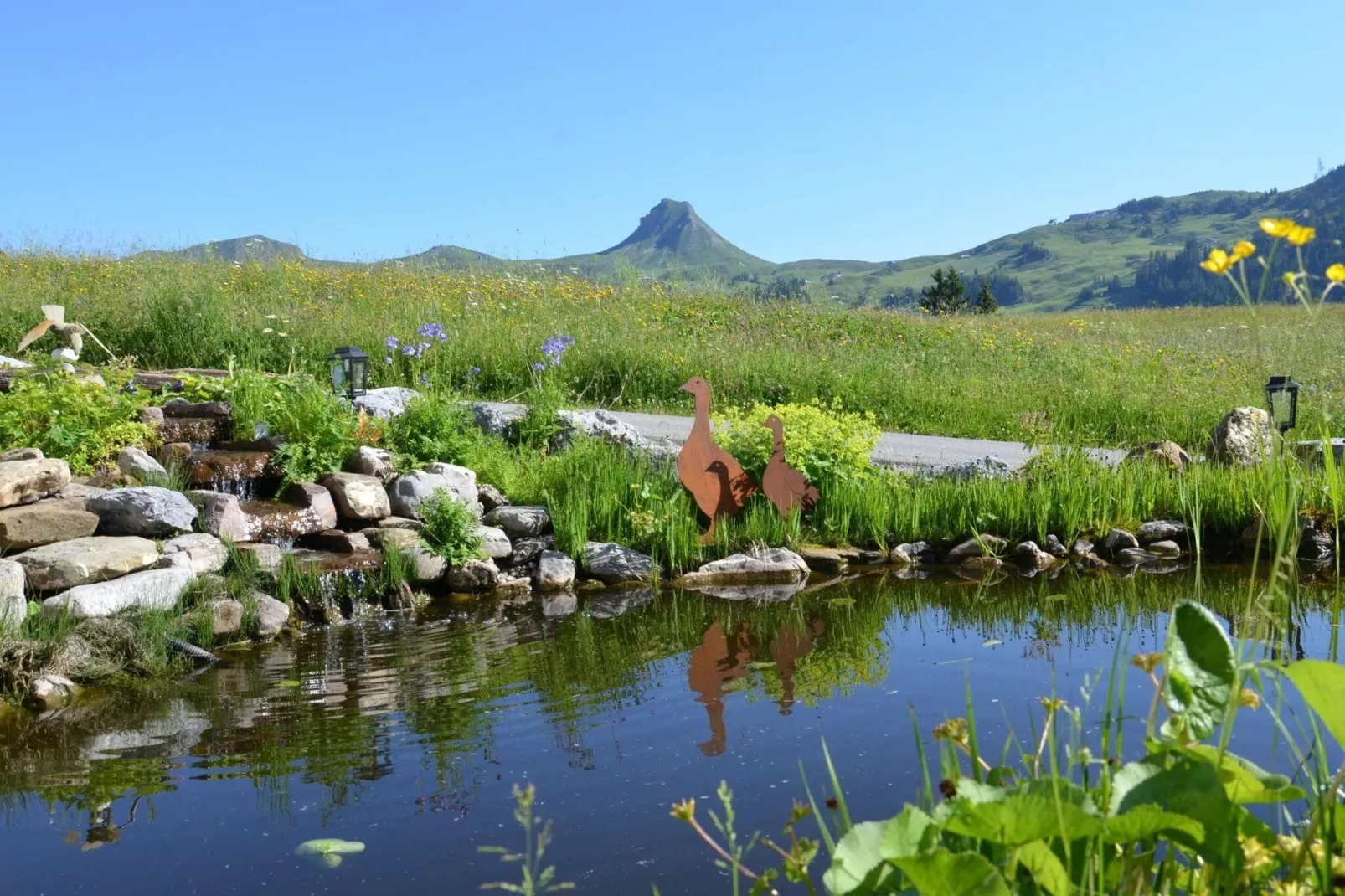 Schönblick 2-Gebieden zomer 5km