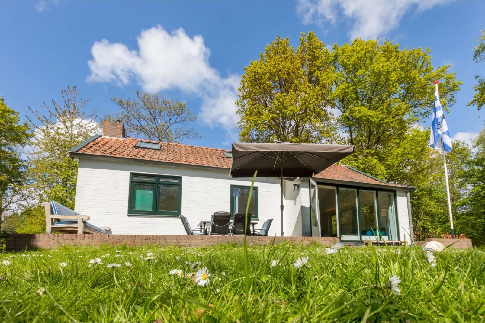 Vakantiehuis - Breezand 6  Vrouwenpolder "De Alk"-Buitenkant zomer