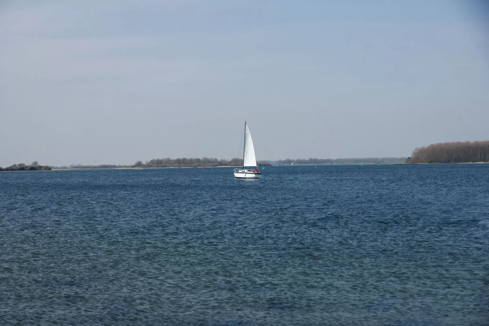 De Watervogel-Gebieden zomer 1km