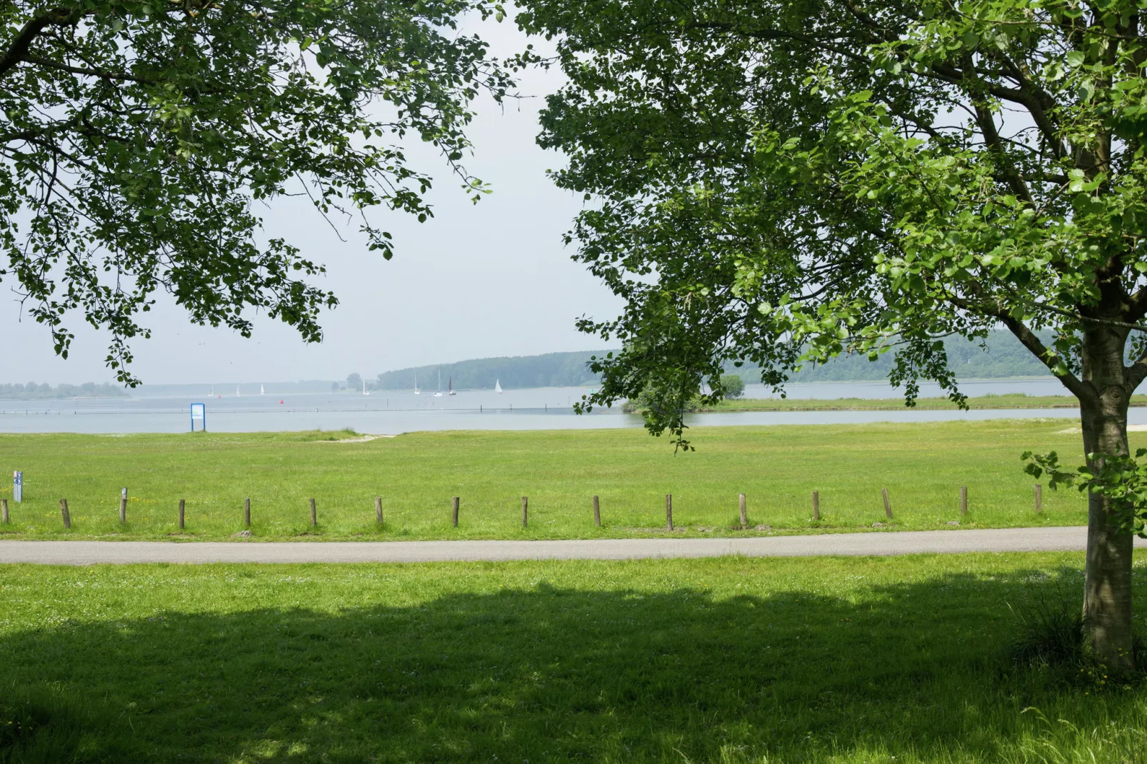 De Watervogel-Gebieden zomer 1km