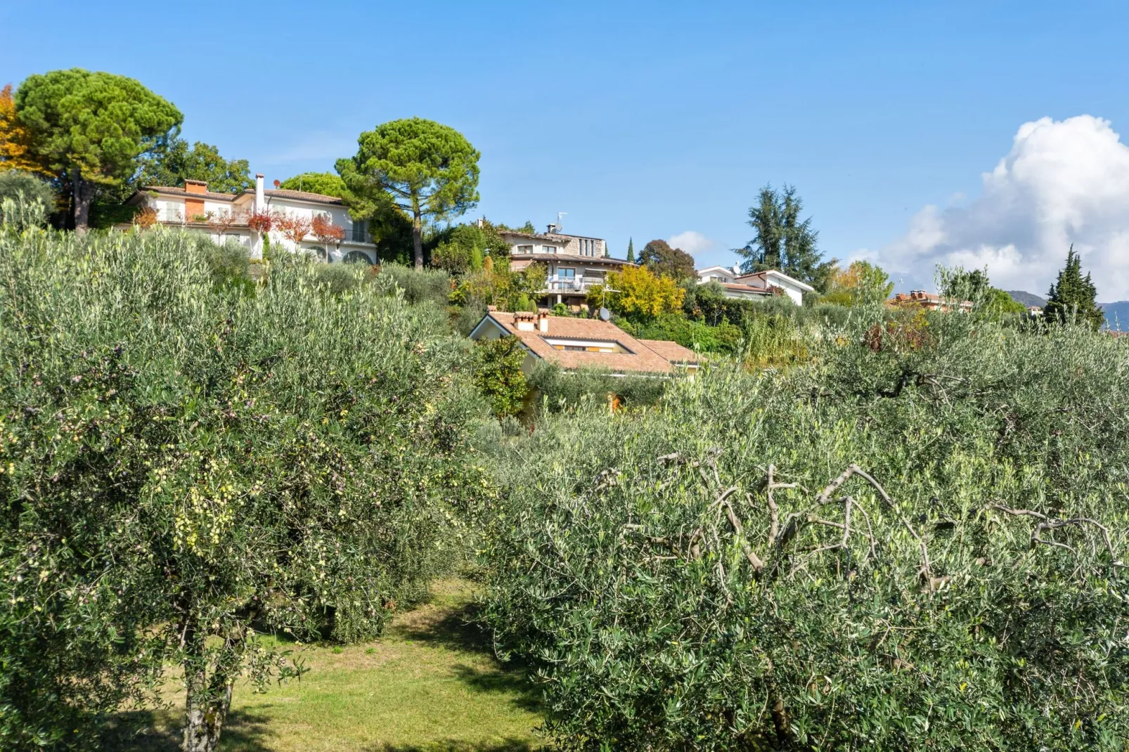 Villa Pozzol-Gebieden zomer 5km