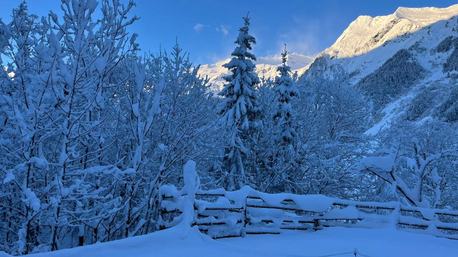 Barney-Uitzicht winter
