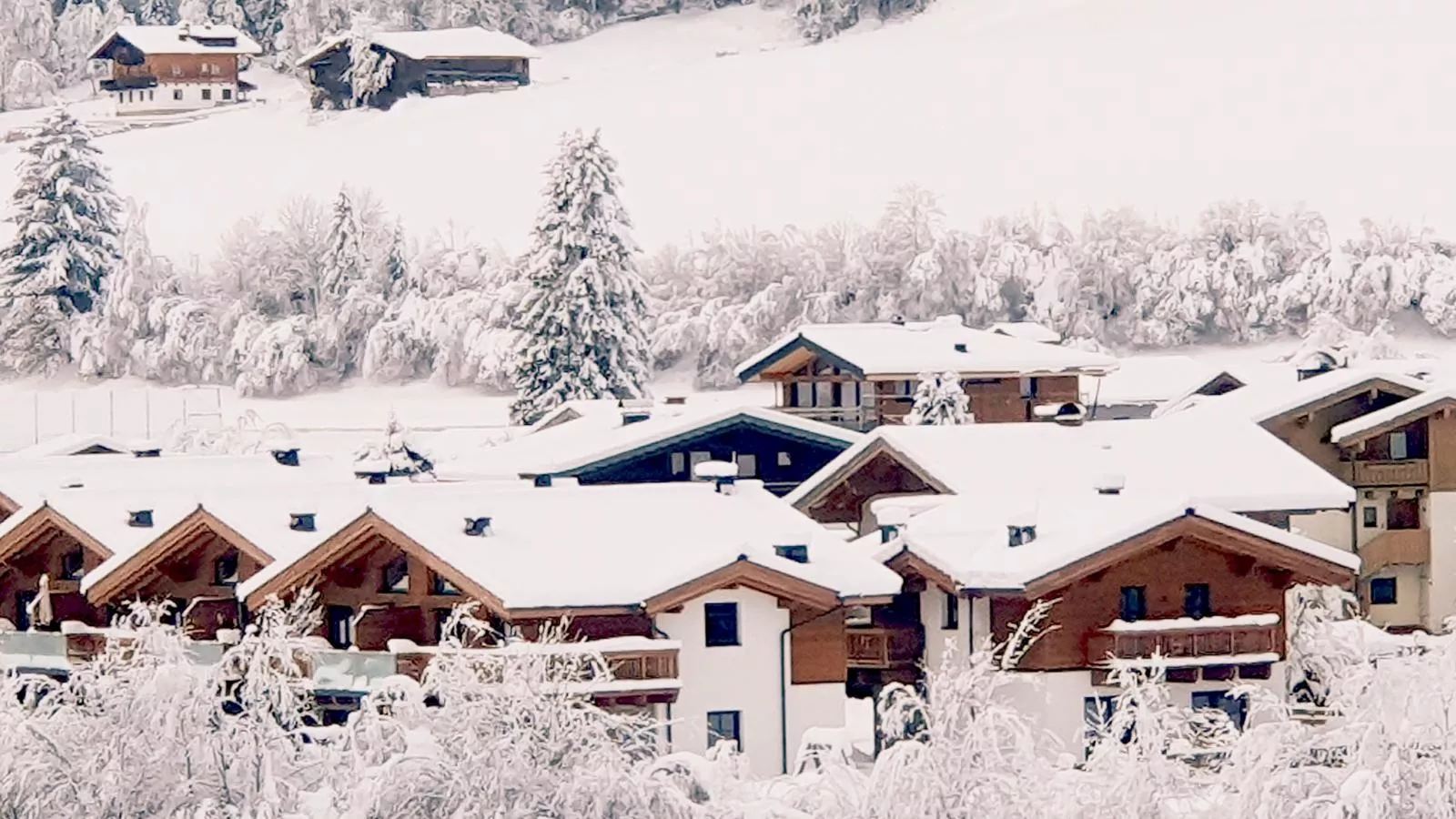 Felsener Wald-Exterieur winter