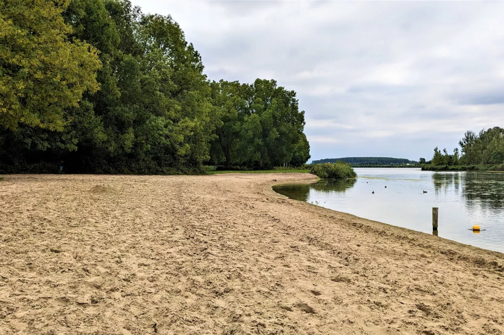 Strandloper 129-Gebieden zomer 5km