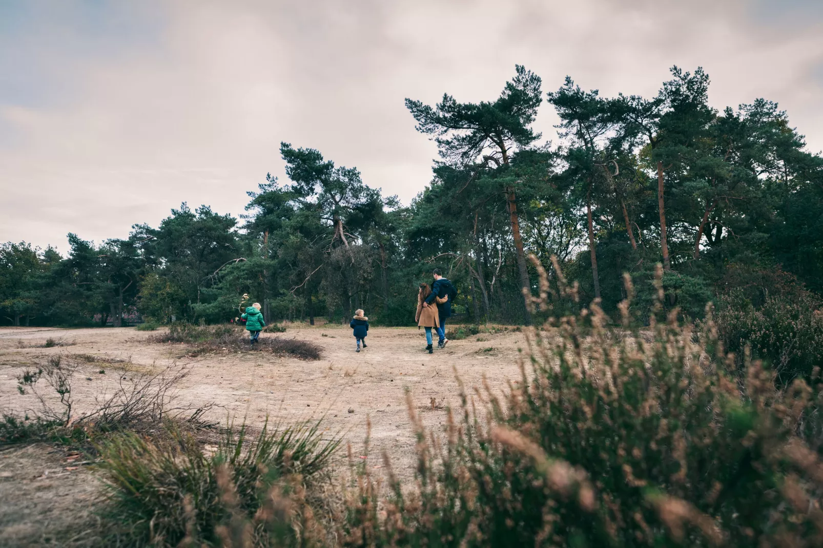 Vakantiepark de Katjeskelder 24-Gebieden zomer 5km