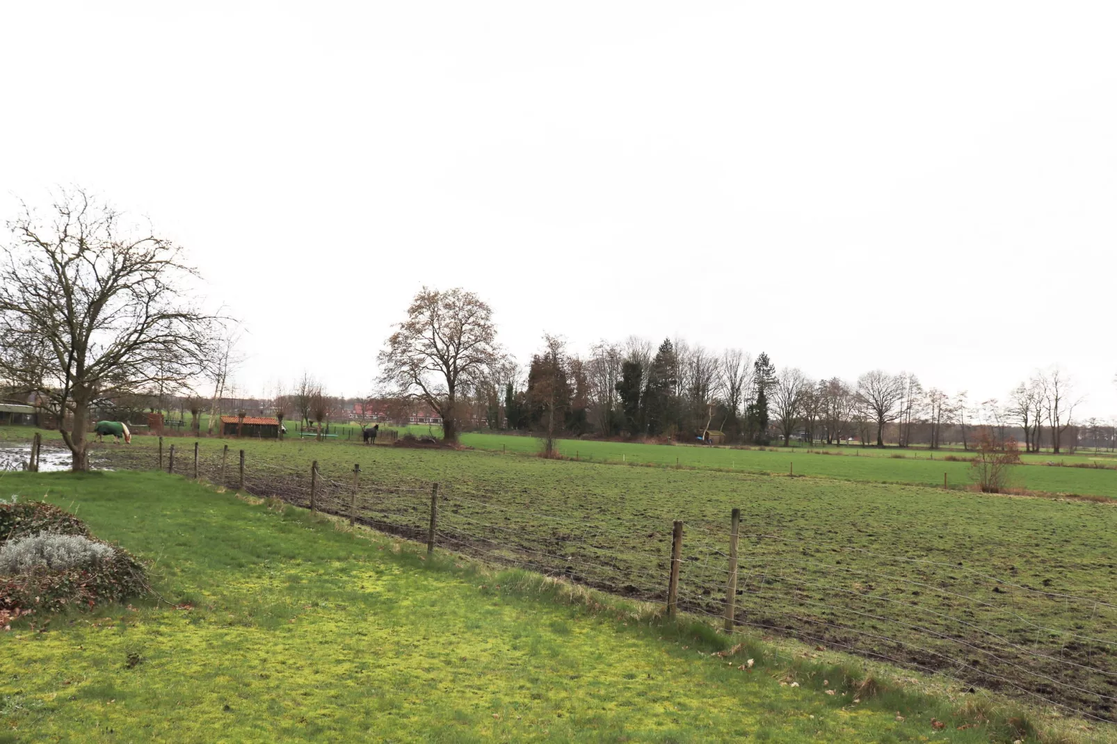 Boerderij De Wilgen-Tuinen zomer