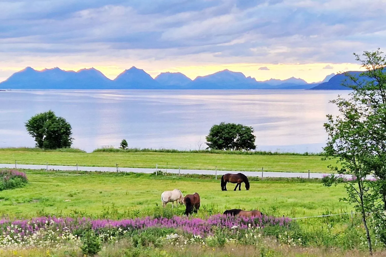 6 persoons vakantie huis in Hamnvik-Niet-getagd