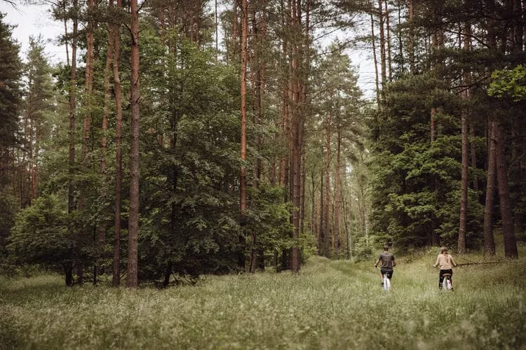 Osada pod Lipą Gronowo-Gebieden zomer 1km