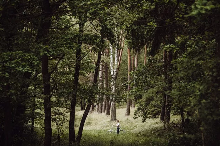 Osada pod Lipą Gronowo-Gebieden zomer 1km