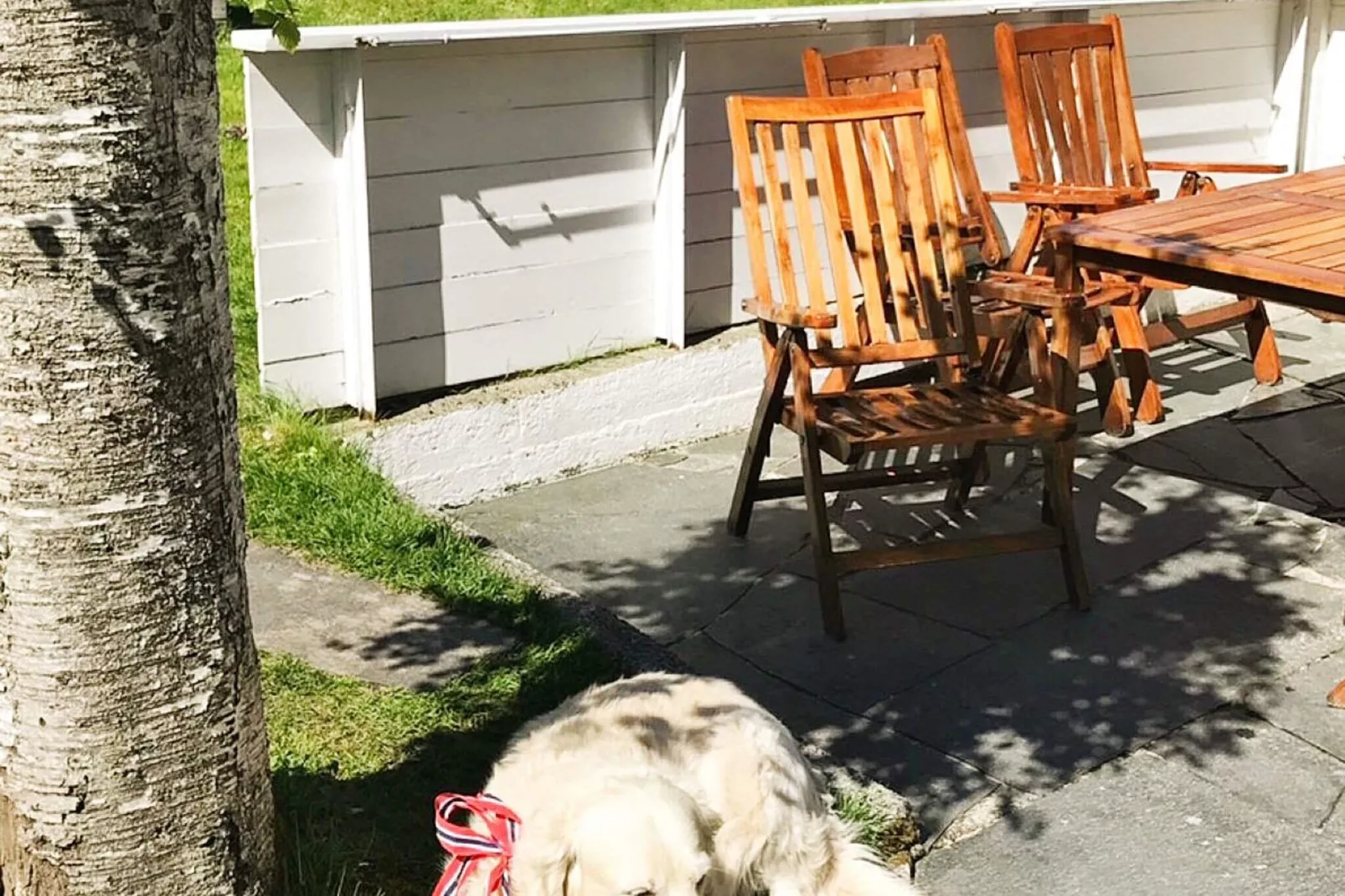 8 persoons vakantie huis in MÅLØY-By Traum-Buitenlucht