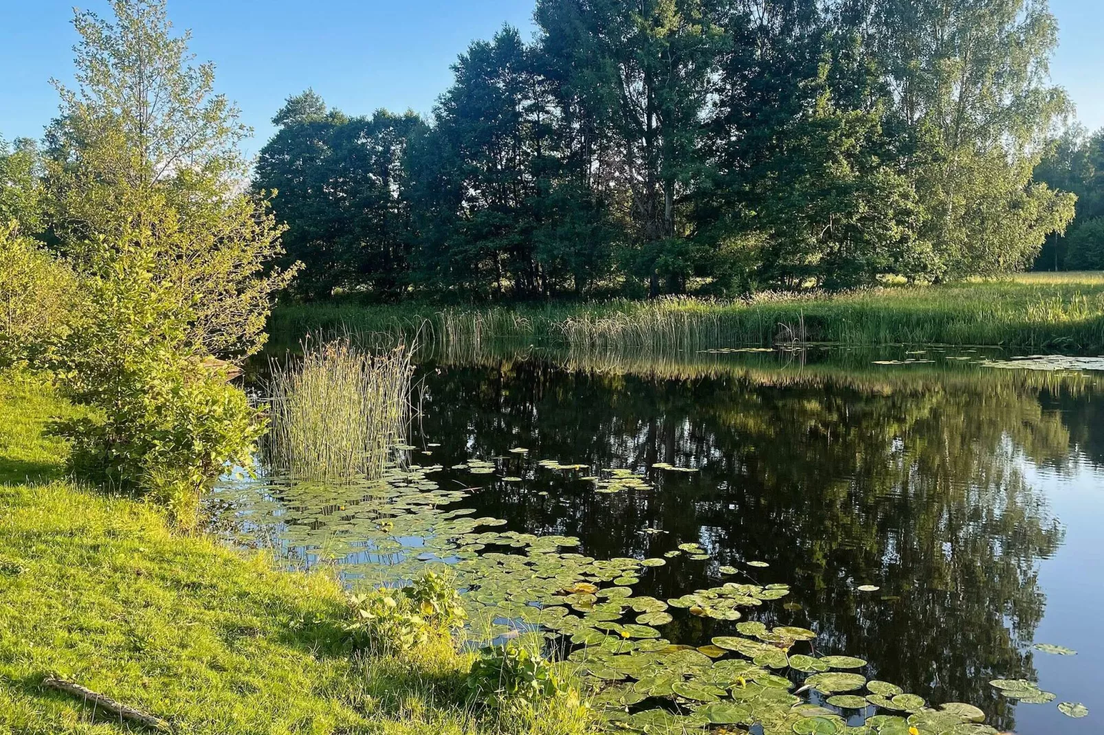 7 persoons vakantie huis in HÖGSBY-By Traum-Buitenlucht
