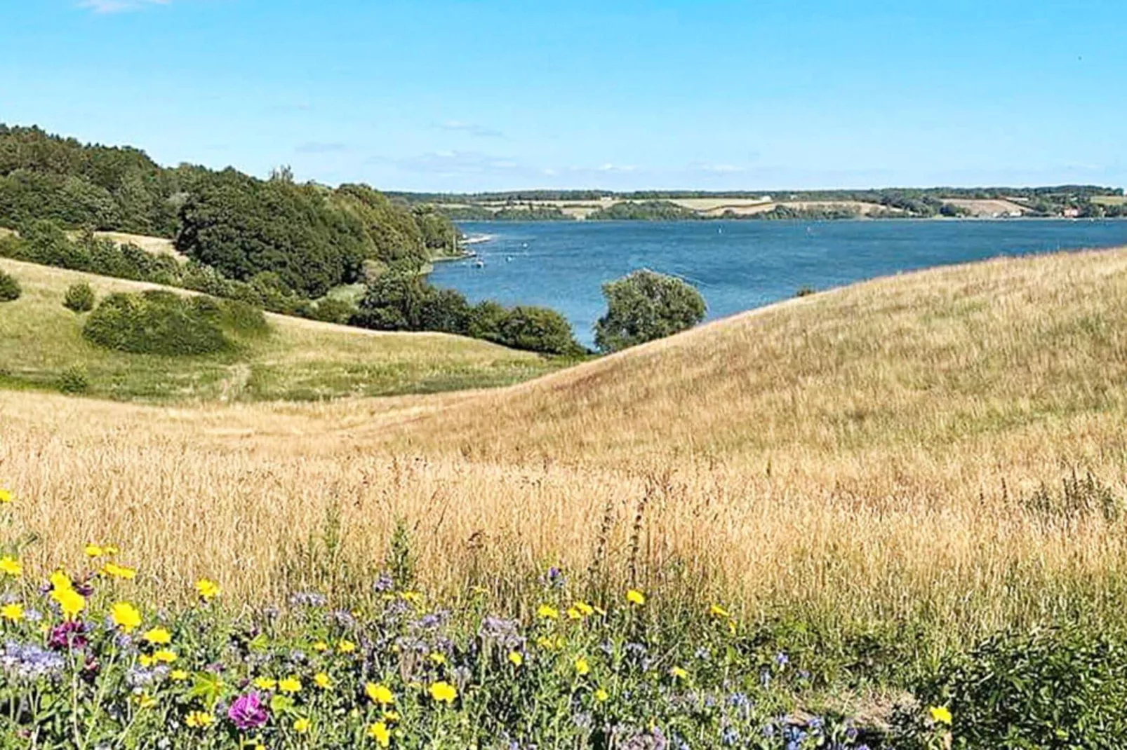 5 sterren vakantie huis in Kolding-Buitenlucht