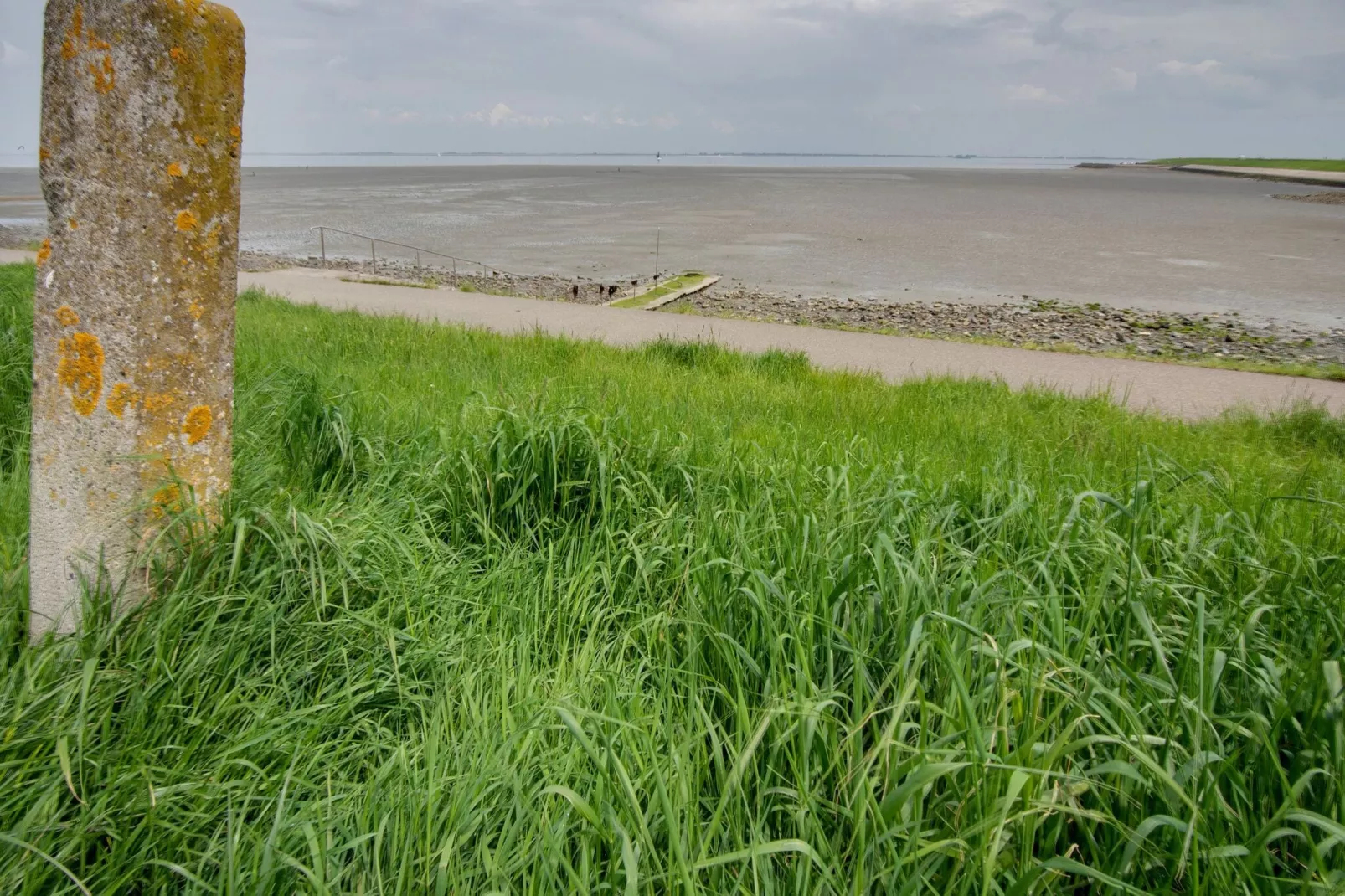 Peper en Zout-Gebieden zomer 5km