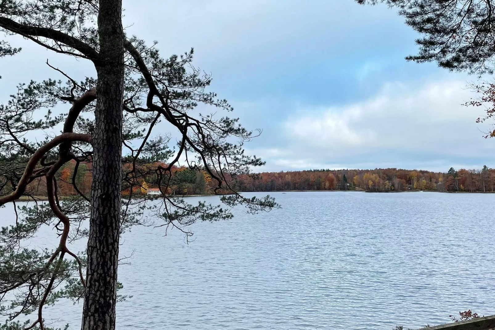 4 sterren vakantie huis in Olofström-Buitenlucht