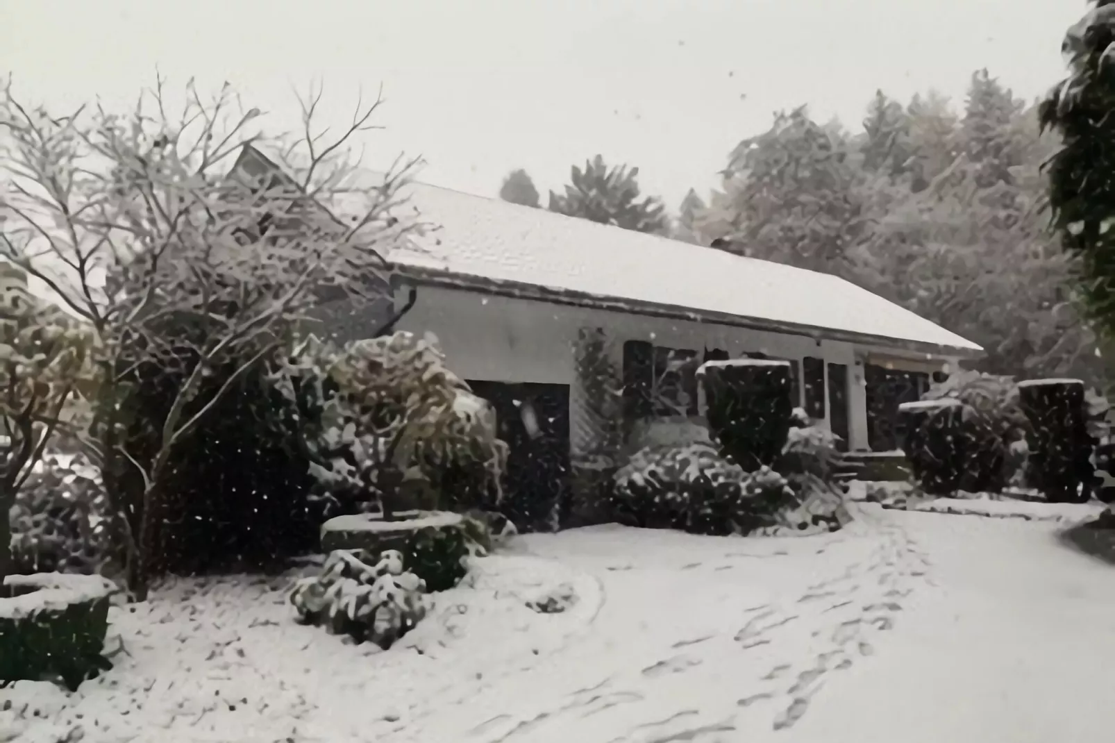 La maison du fagnard-Exterieur winter