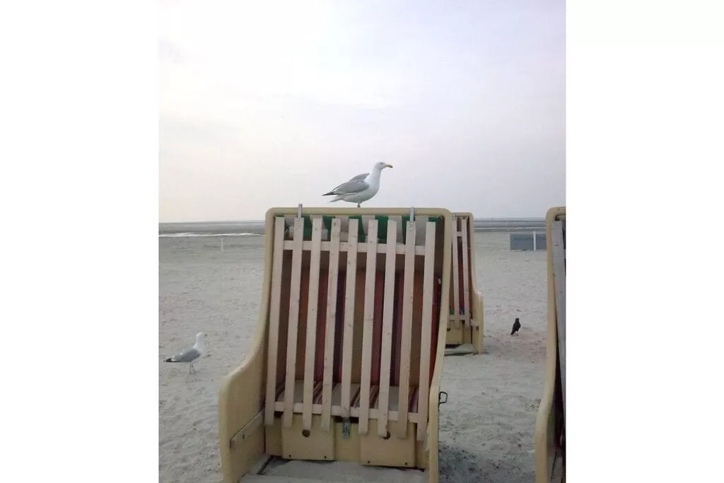 976
