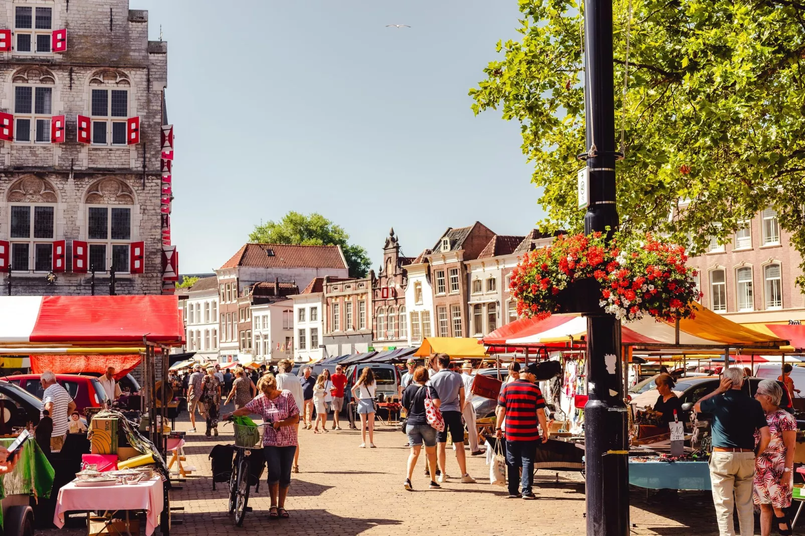 Vakantiepark Cape Helius 16-Gebieden zomer 20km