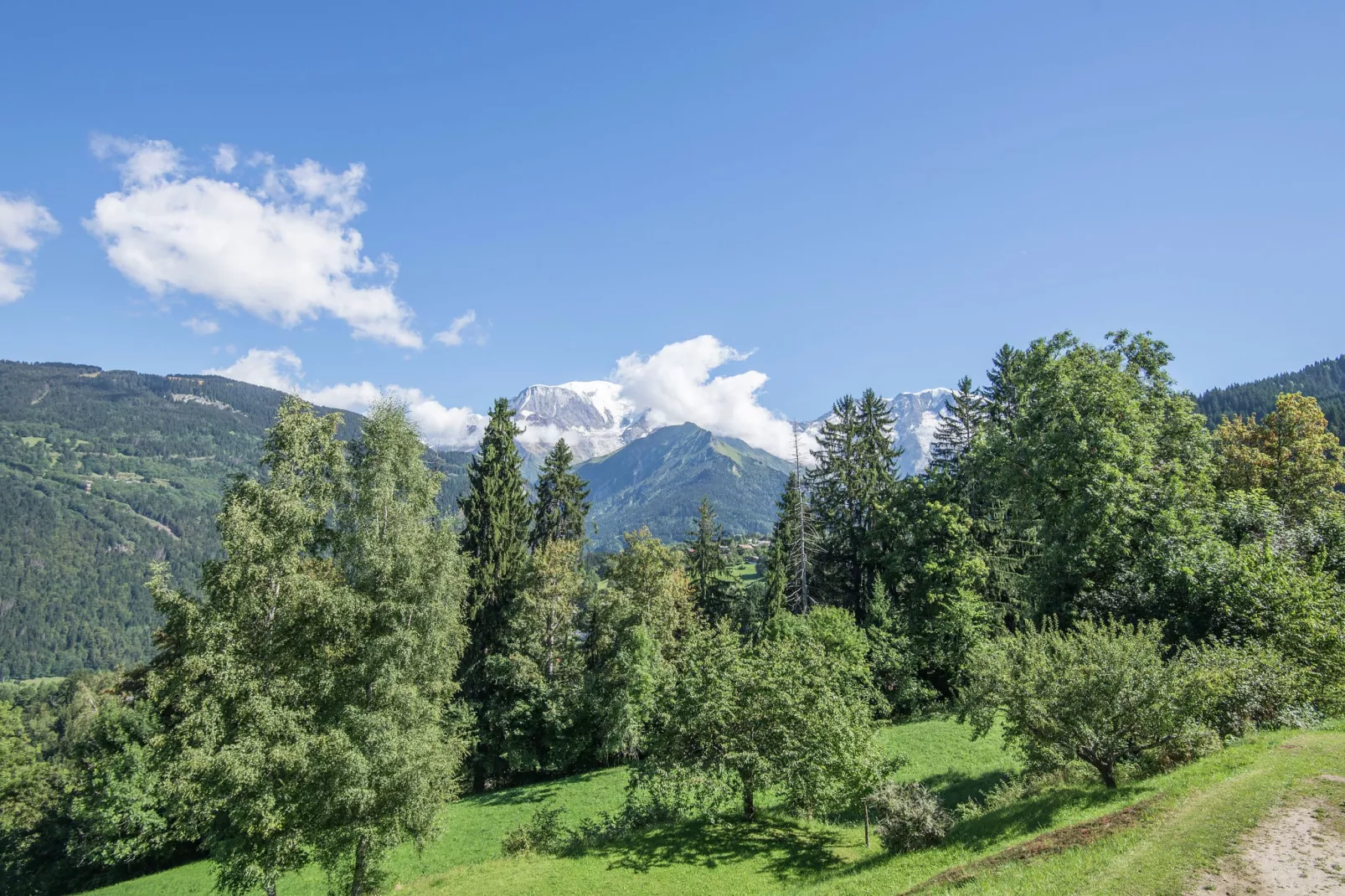 Le Mont Blanc - Les Traces-Gebieden zomer 1km