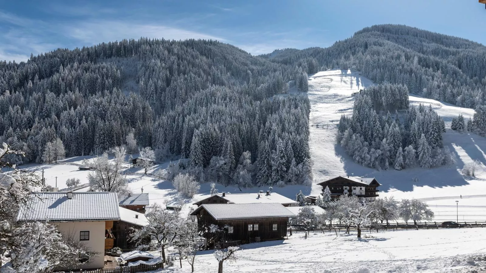 Tirolee Marchegg EG Top 1-Uitzicht winter