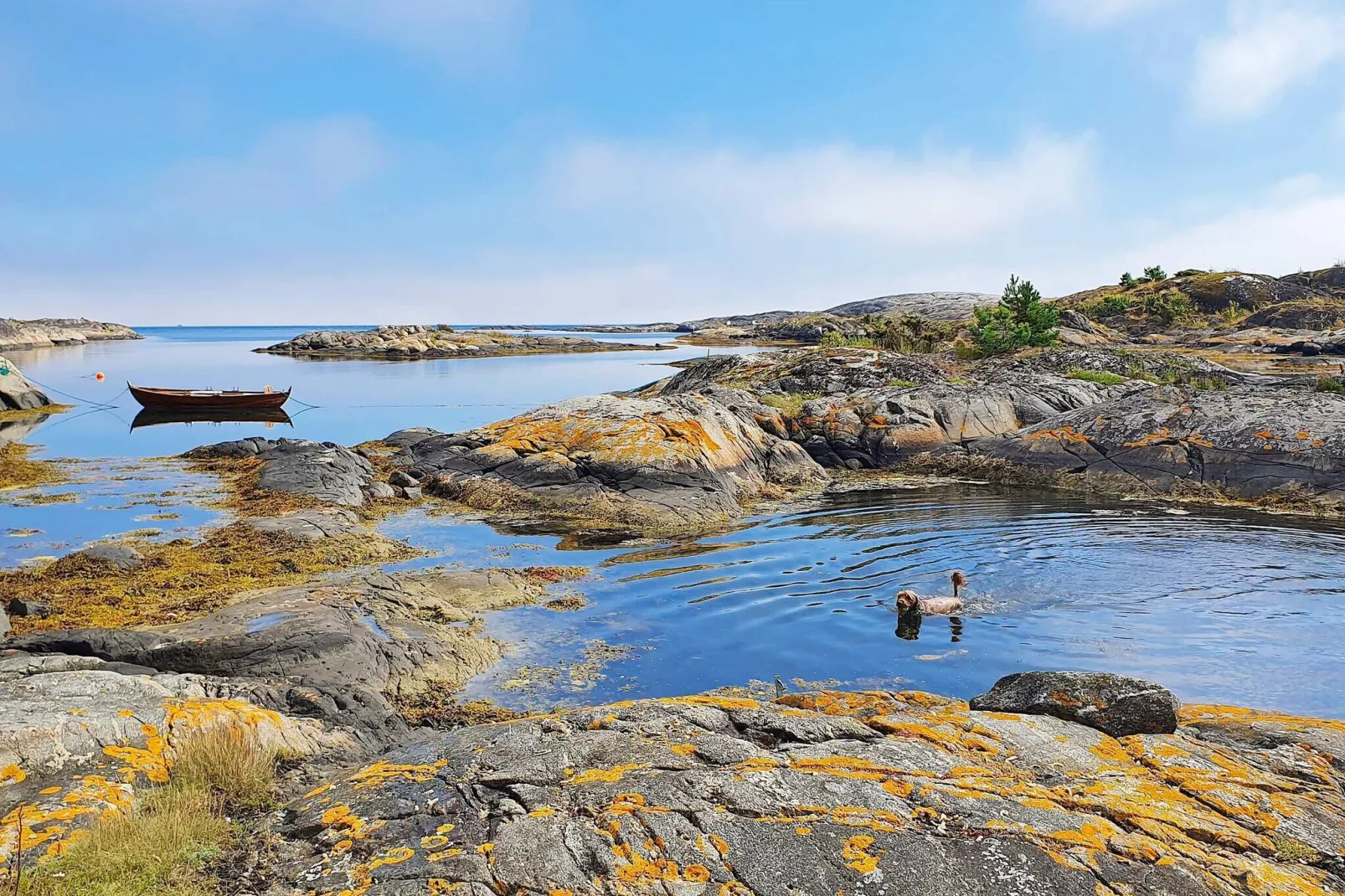8 persoons vakantie huis in Risør-By Traum-Niet-getagd