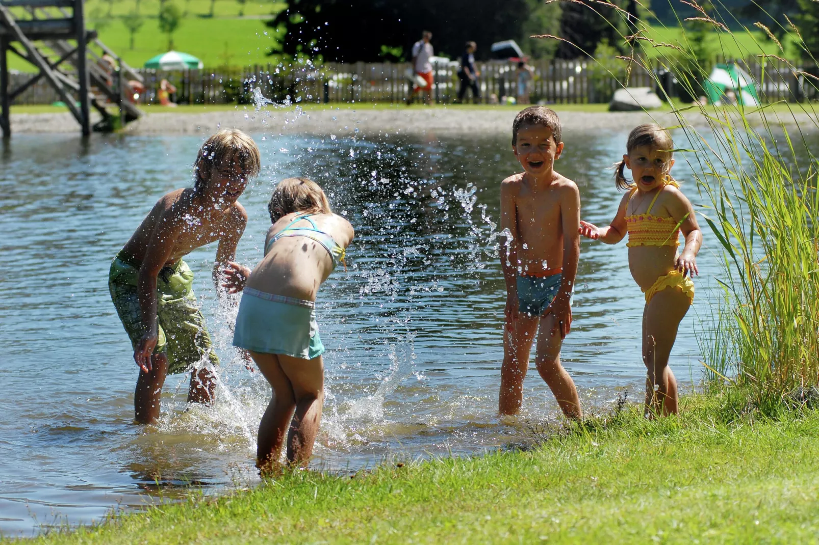 Ferienhaus Dachsteinheim-Gebieden zomer 20km