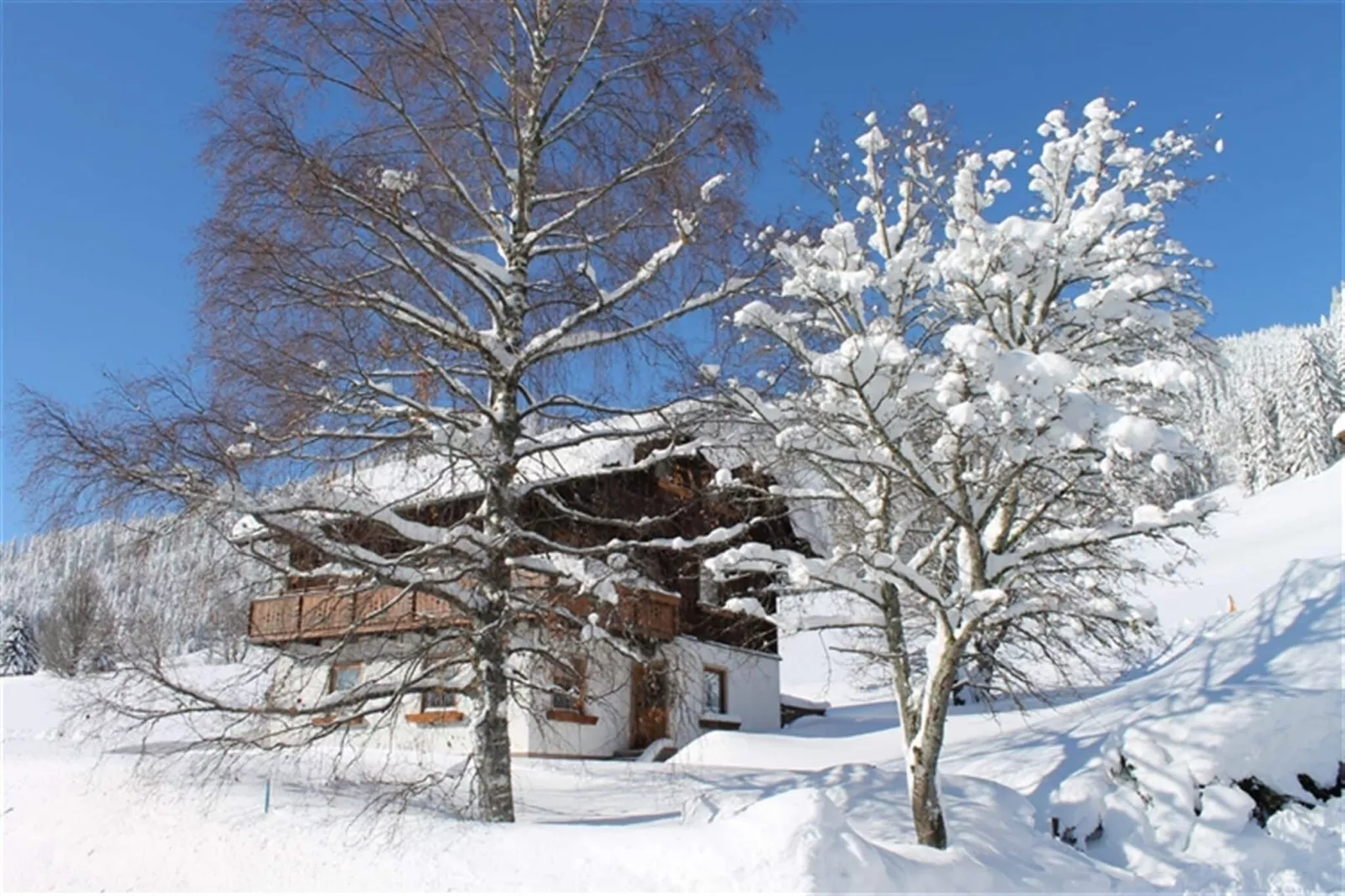 Ferienhaus Dachsteinheim-Exterieur winter