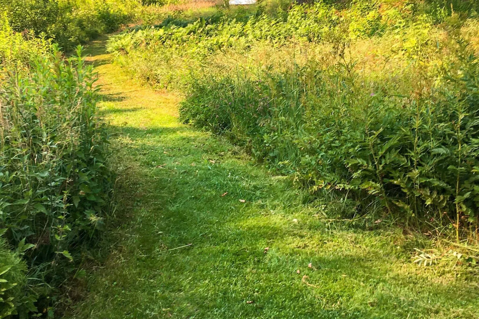 4 sterren vakantie huis in MALMKÖPING-Buitenlucht