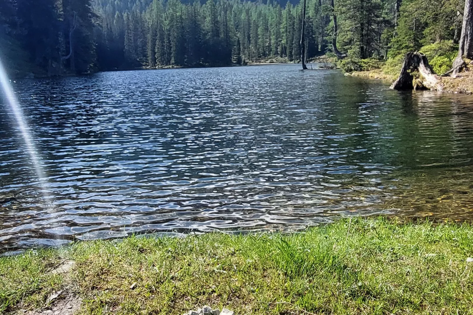 Haus Rathgeb-Gebieden zomer 1km