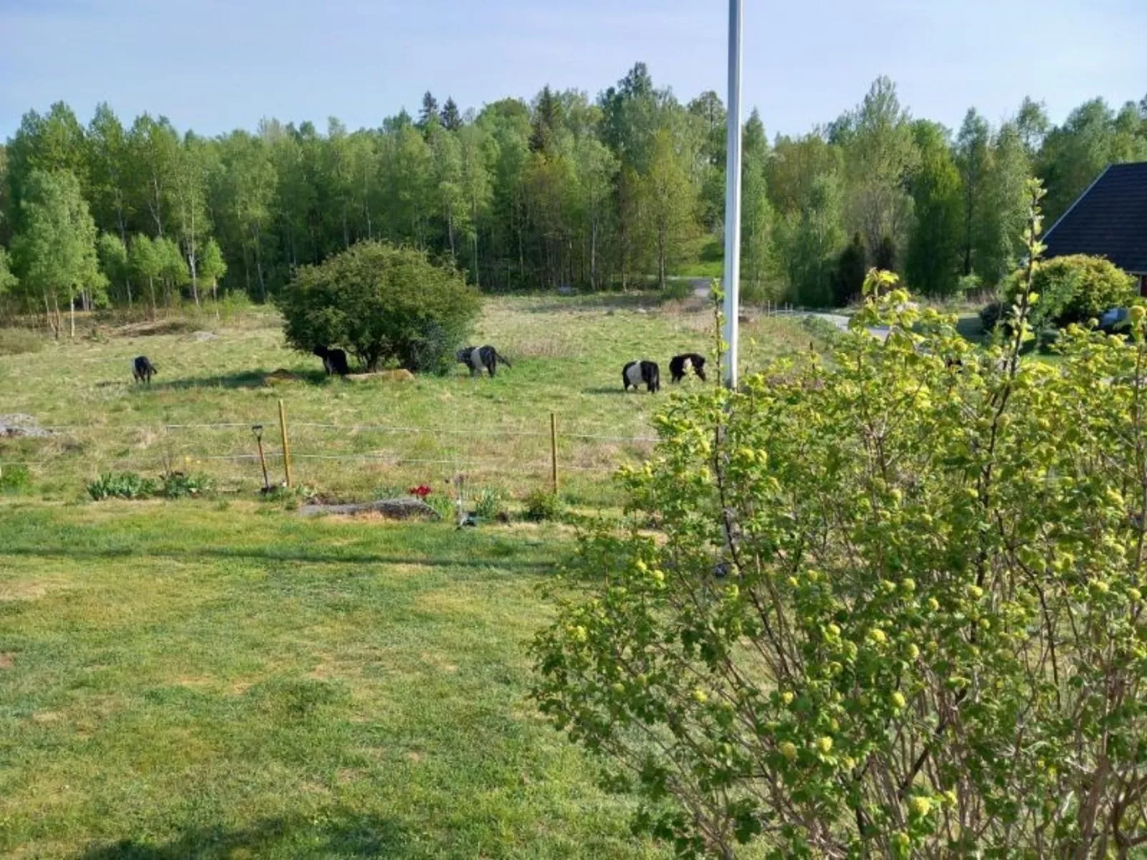 Skjutsmåla-Buiten
