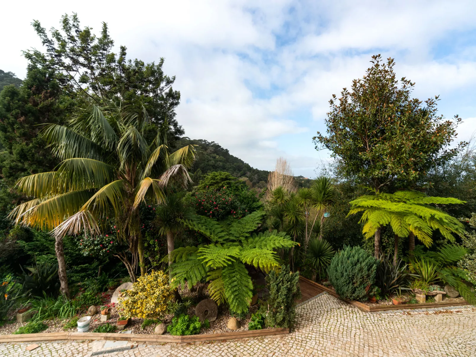 Oliveiras House-Buiten