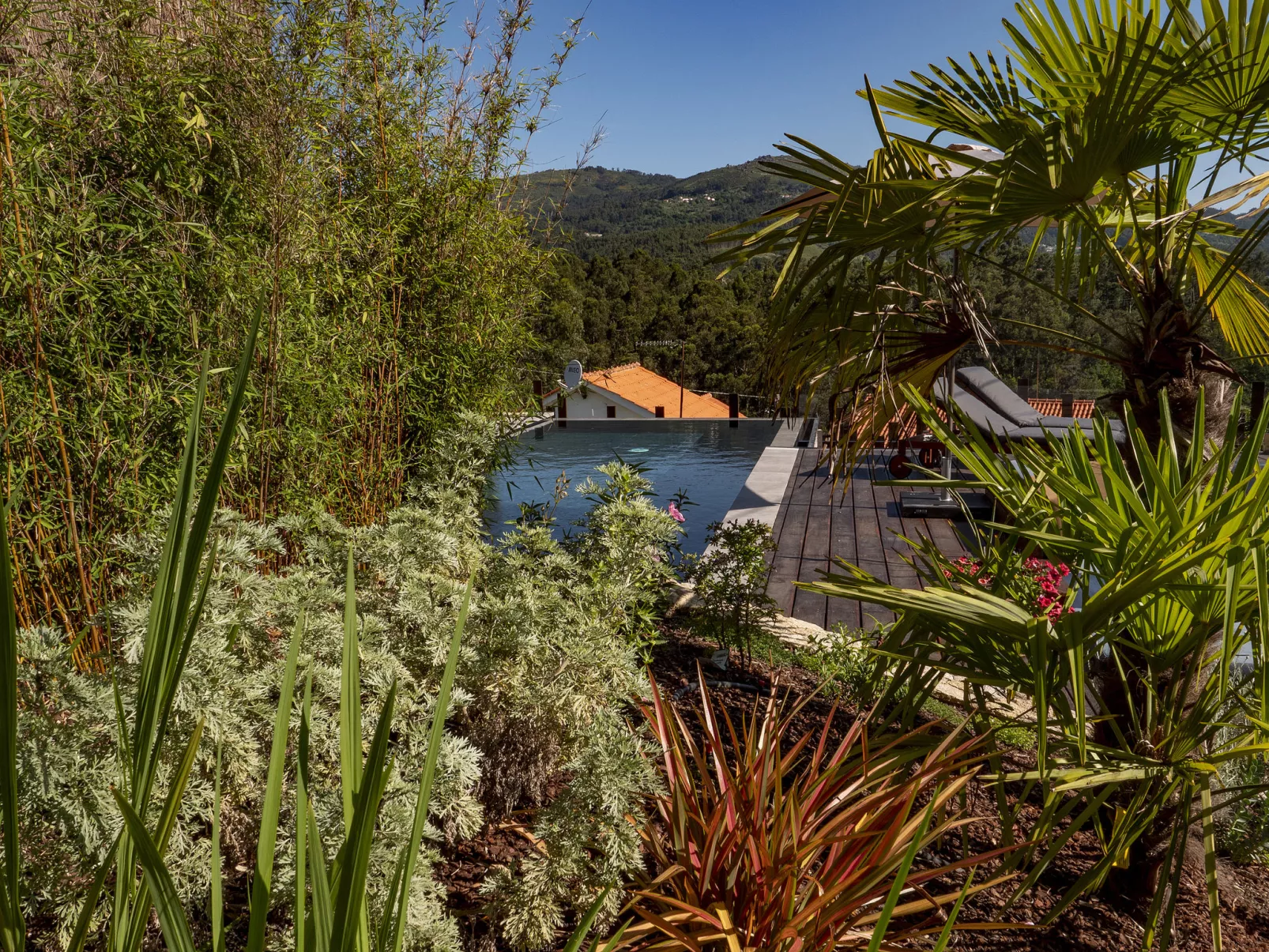 Rio Lima Retreat-Buiten