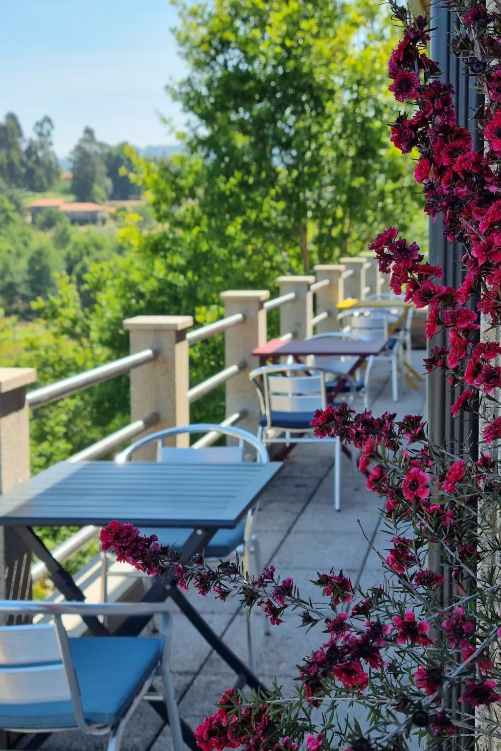 Rio Lima Retreat-Buiten