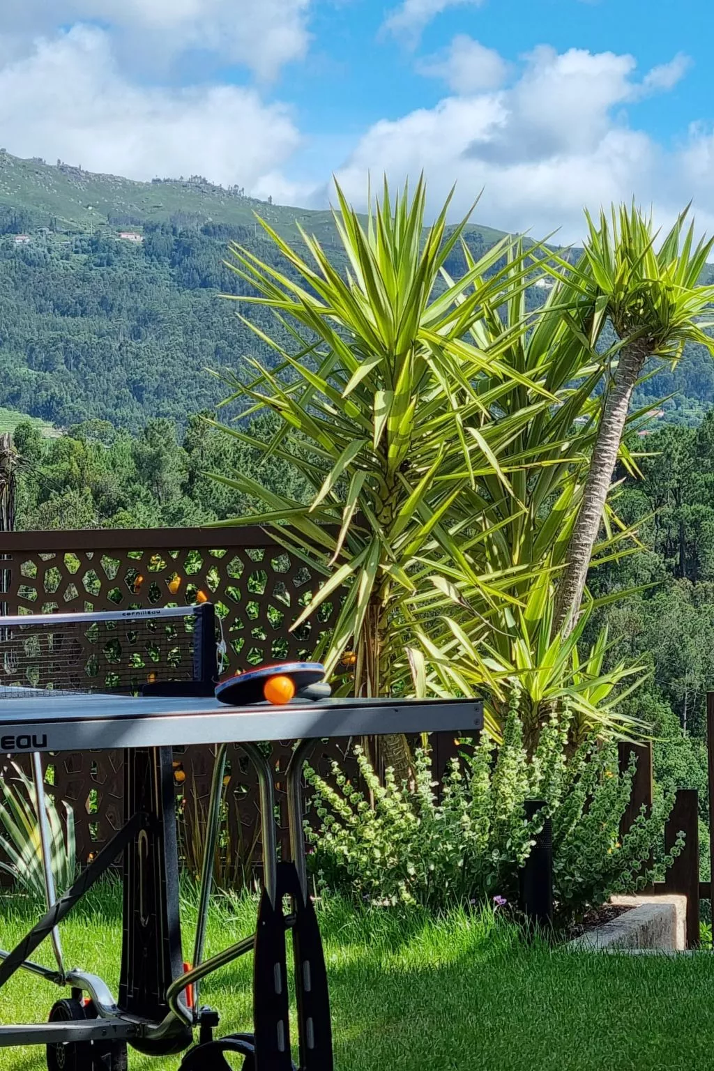Rio Lima Retreat-Buiten