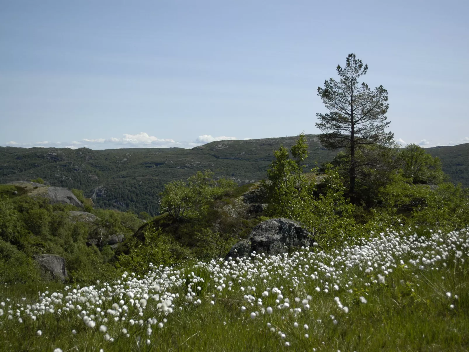 Ørnefjell-Buiten