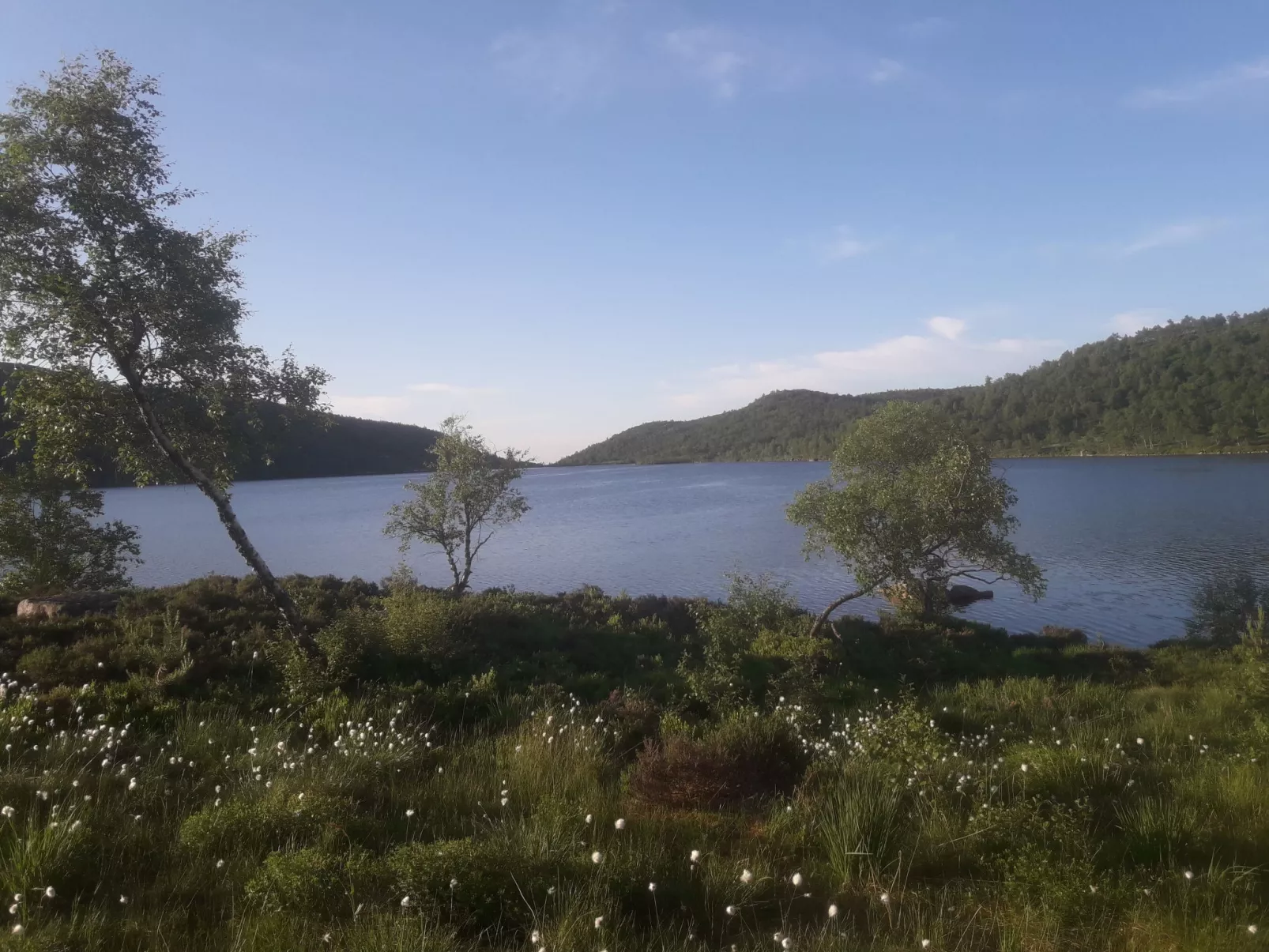 Thorabu-Buiten