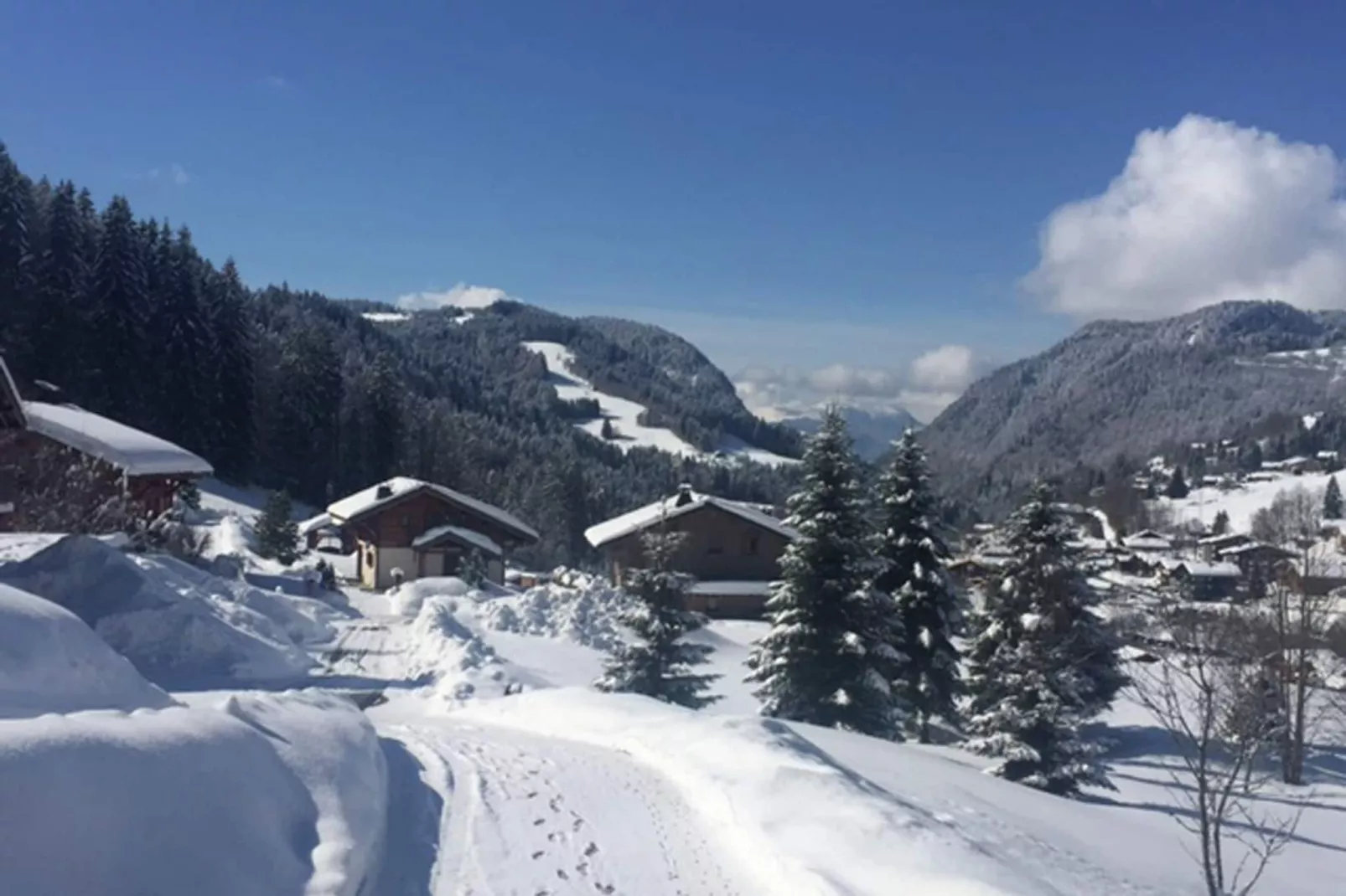 Chalet Sherwood Forest-Exterieur winter