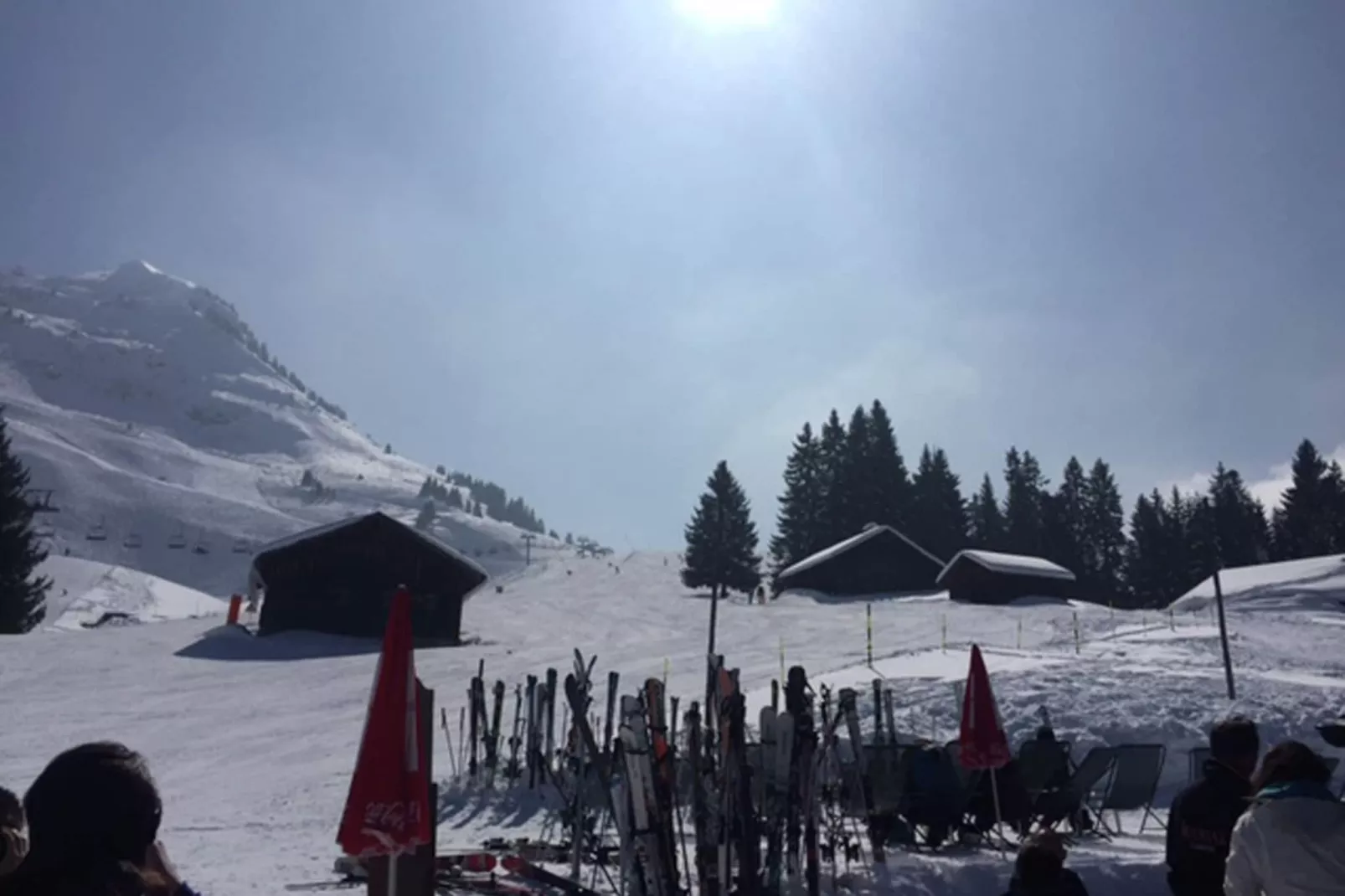 Chalet Sherwood Forest-Exterieur winter