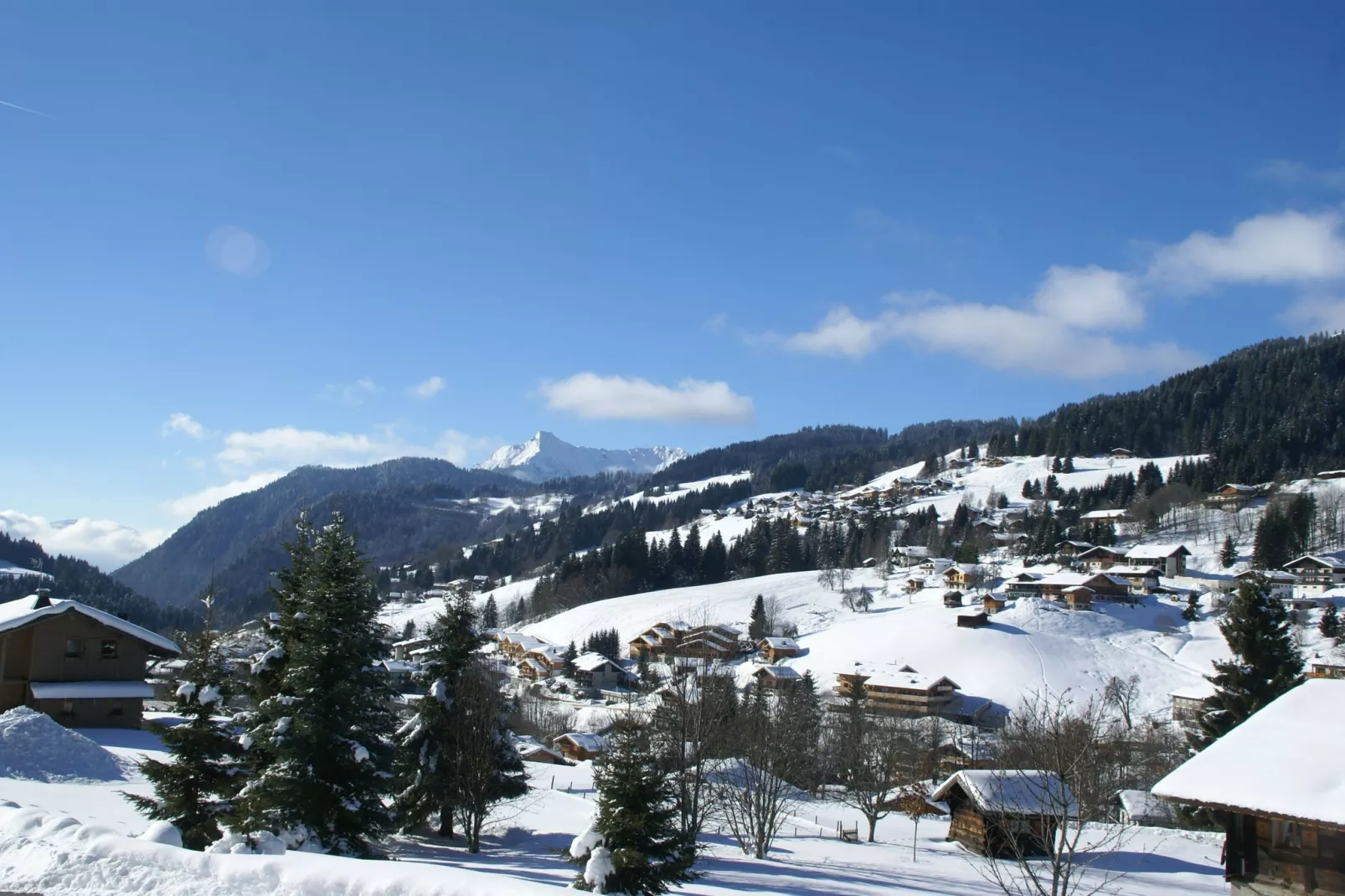 Chalet Sherwood Forest-Uitzicht winter