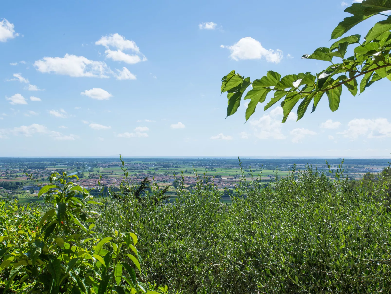 Belvedere-Buiten