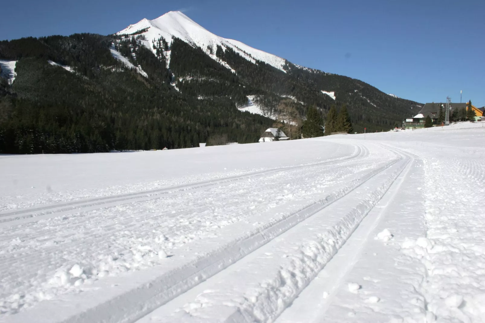 Chalet Quadrifoglio-Gebied winter 5km