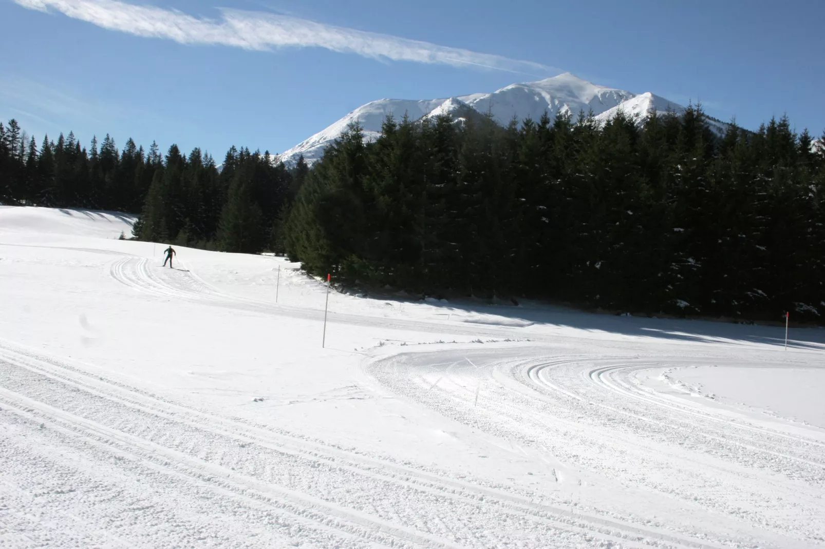 Chalet Quadrifoglio-Gebied winter 5km