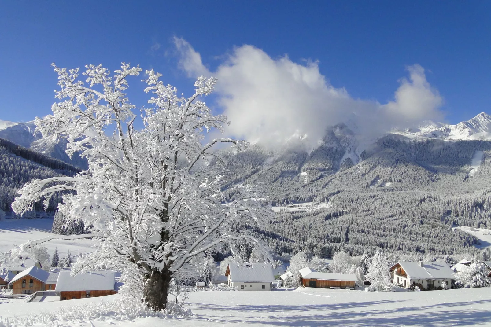 Chalet Eresma-Uitzicht winter