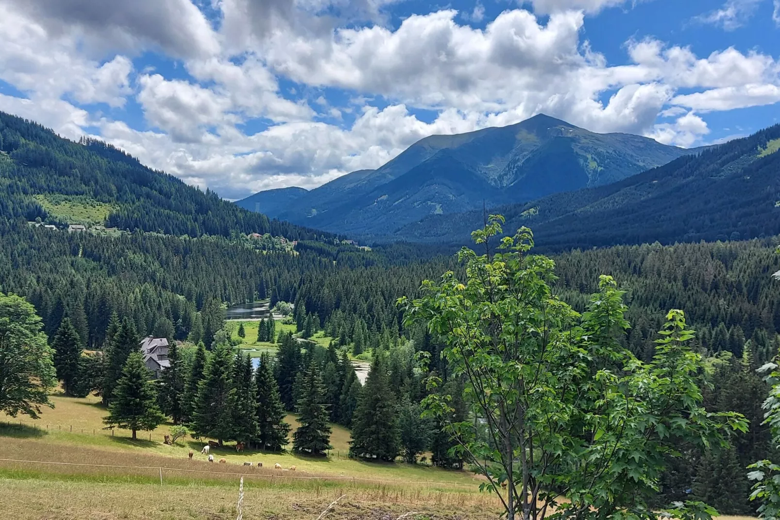 Luxe vakantiechalet in Steiermark met sauna-Gebieden zomer 1km