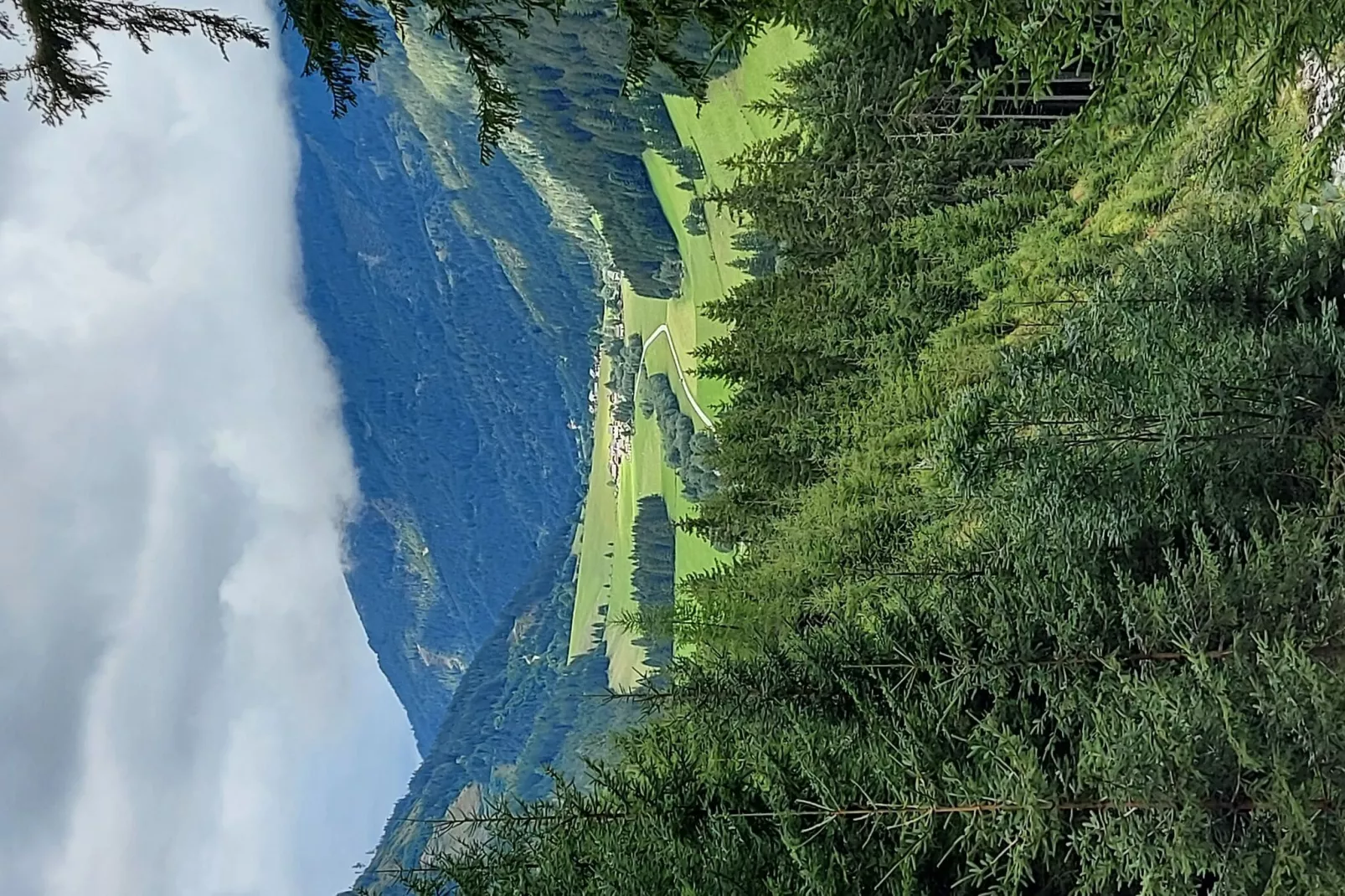 Luxe vakantiechalet in Steiermark met sauna-Gebieden zomer 1km