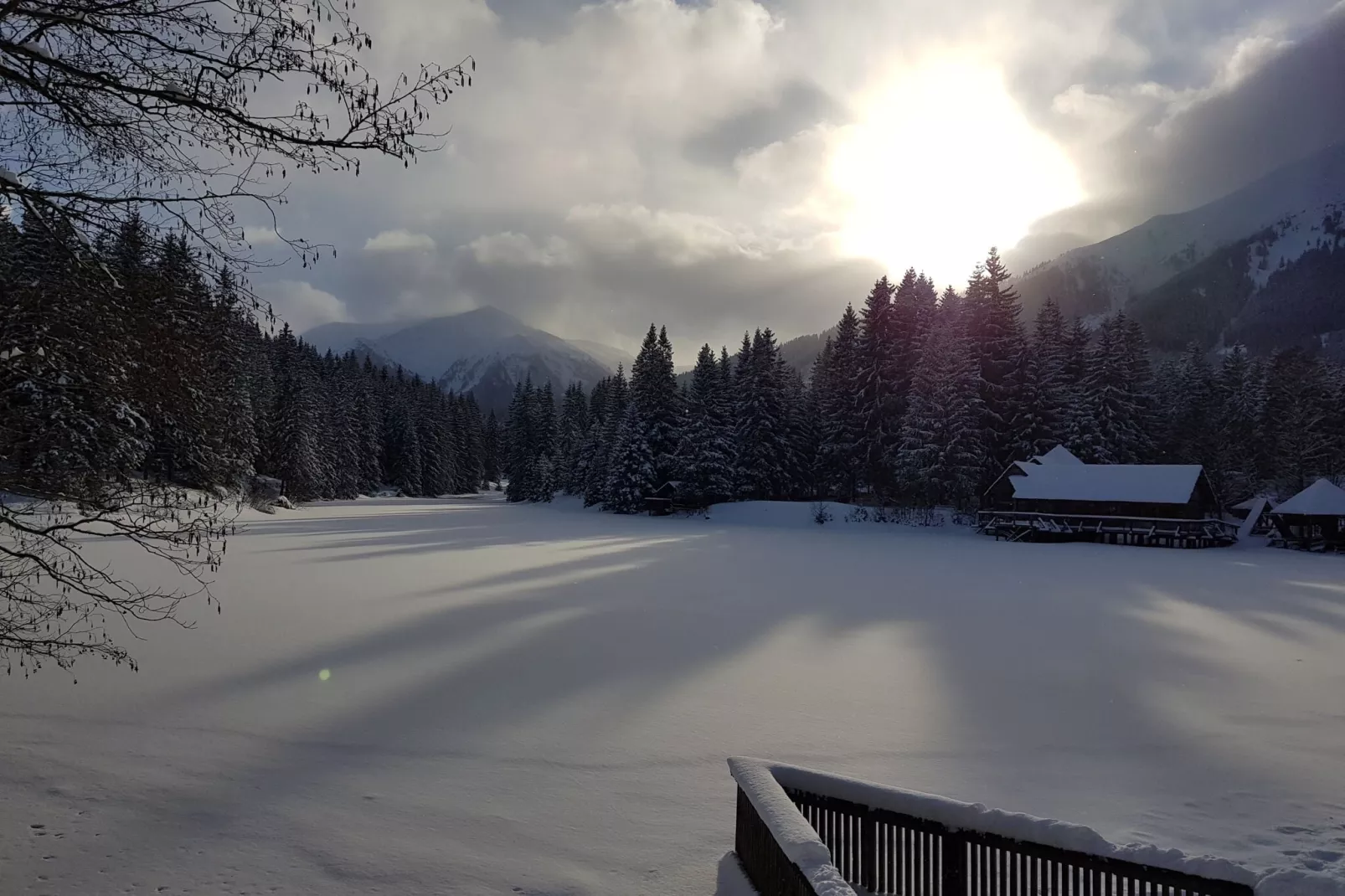 Luxe vakantiechalet in Steiermark met sauna-Gebied winter 5km
