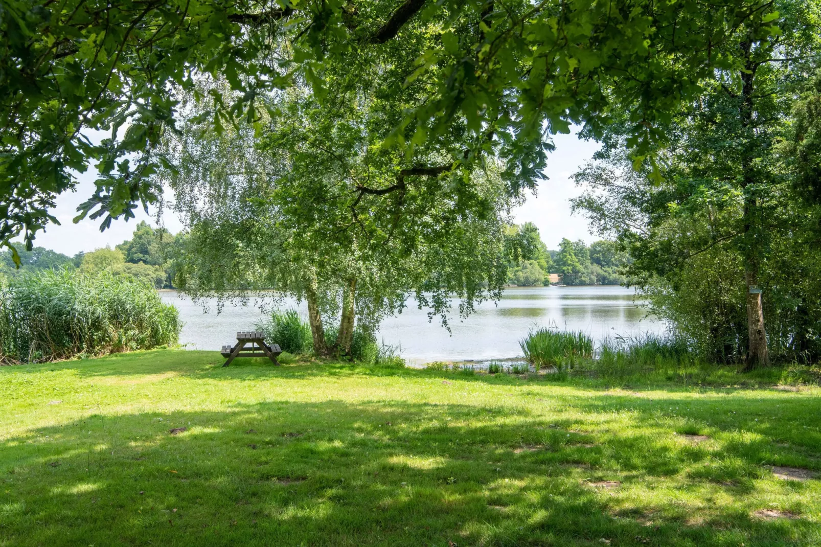 Très joli gîte de l'Etang avec son étang-Gebieden zomer 1km