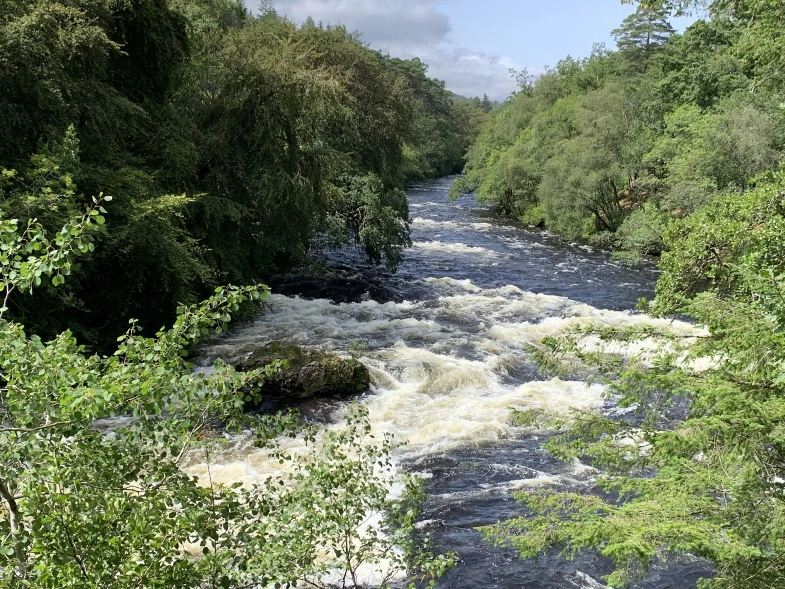 Ardlui Lodge-Omgeving