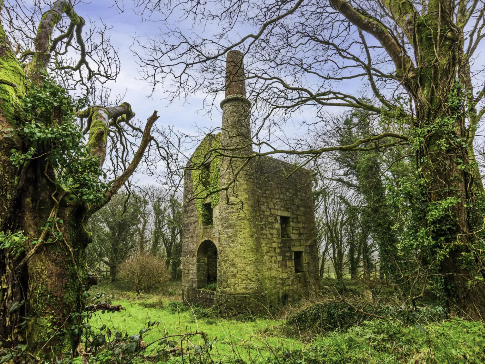 Wheal Rose-Omgeving