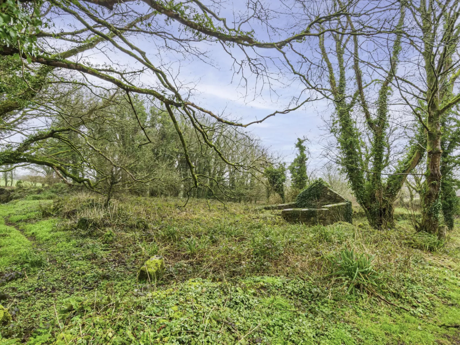 Wheal Jewel Hot Tub Lodge-Omgeving